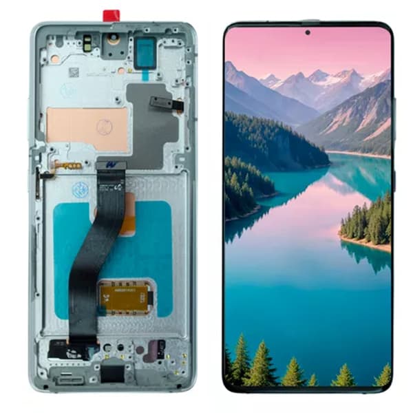 pantalla-completa-samsung-s-s21-ultra-compatible-plata-con-marco-oem